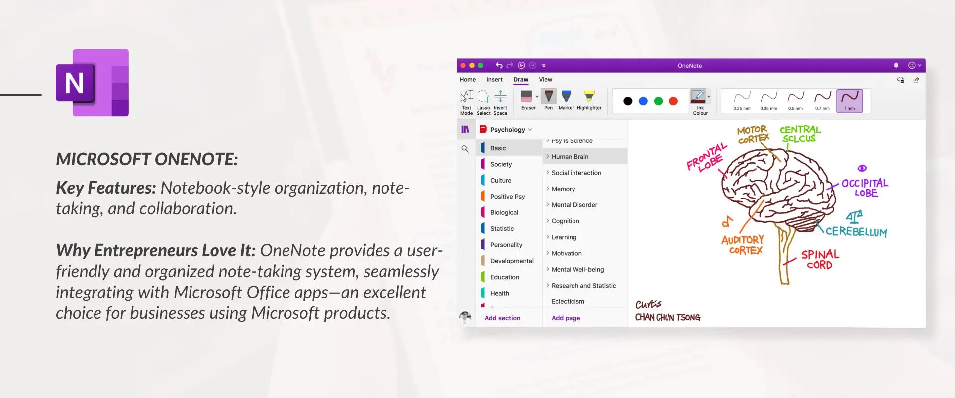 MocrosoftOnenote Note Taking Tool Interface